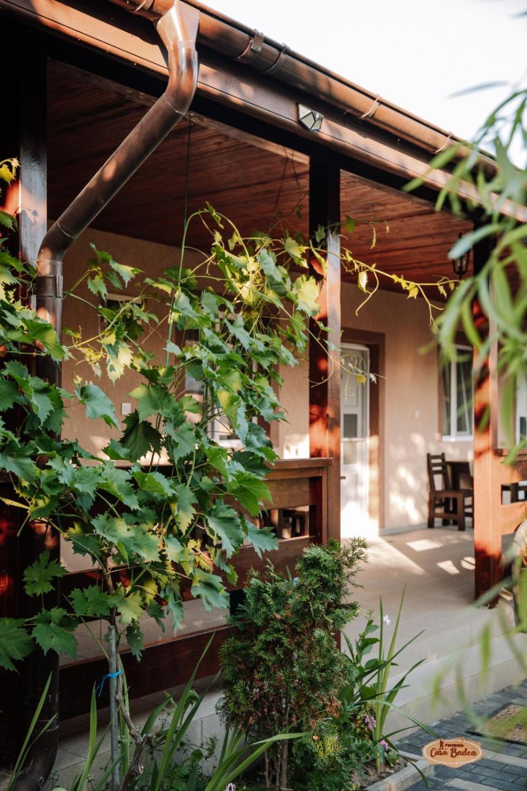 Hotel Casa Badea Murighiol Exterior foto